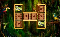 Bird Cards Match