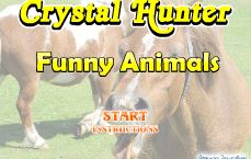 Crystal Hunter Funny Animals
