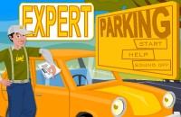 Expert Parking