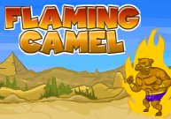 Flaming Camel