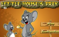 Little Mouses Prey