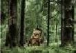 Ewoks Annihilation
