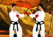 Tae Kwon Do