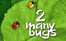 2 Many Bugs