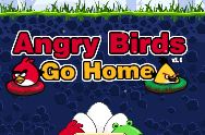 Angry Birds go home