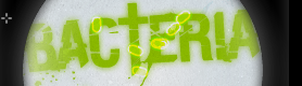 Bacteria