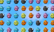 Birdy Match