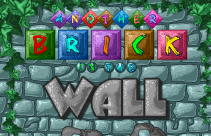 Brique dans le mur