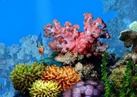 Difference Vague Cotiere