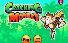 Cracking Monkey