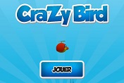 Crazy Bird