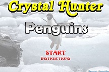 Crystal Hunter Penguin