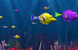 Petite faim de Poisson