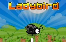 Fly Ladybird