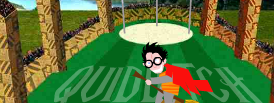 Harry Potter Quidditch