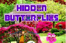 Objets Caches Les papillons