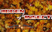 Objets Caches les Insectes