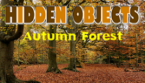 Objets Caches foret en automne