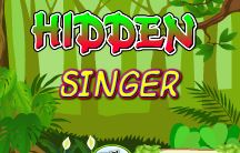 Objets Caches Chanteur