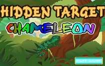 Objets Caches Chameleon