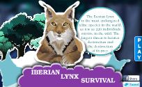 Survie du lynx de Siberie