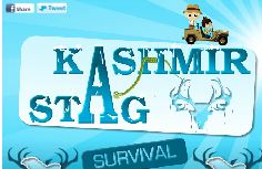 Kashmir Stag Survival