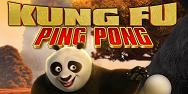 Kung FU Ping Pong