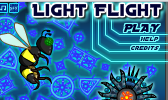 Light Flight
