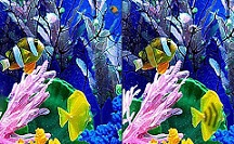 Marine Flow 5 Differences