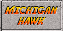 Michigan Hawk