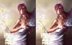 5 Differences Tour de la princesse