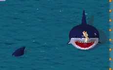 Requins Vs nageurs Time