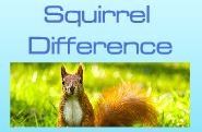 Squirrel Difference