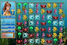 Magasin Poissons Tropicaux