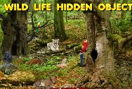 Objets Caches la Faune