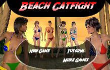 Beach Cat Fight