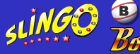 Bingo Slingo