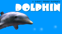 Dolphin Terry Paton