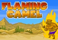 Flaming Camel