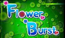 Flower Burst