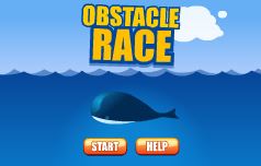 Obstacle Race